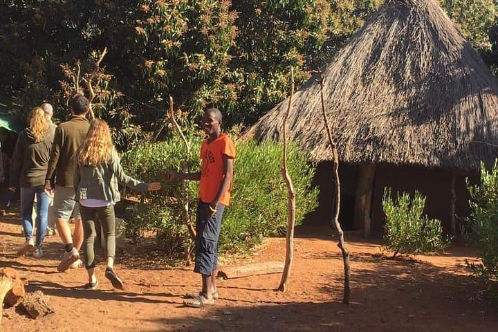 Livingstone Village Tour: Royal Palace Visit & Craft Village Experience photo 5