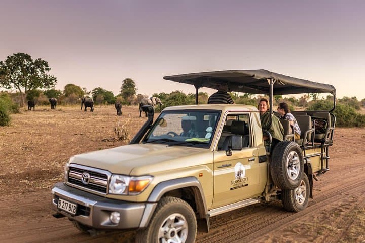 Chobe Overnight Camping Safari: 48-Hour Tented Dome Experience with Big Game photo 3