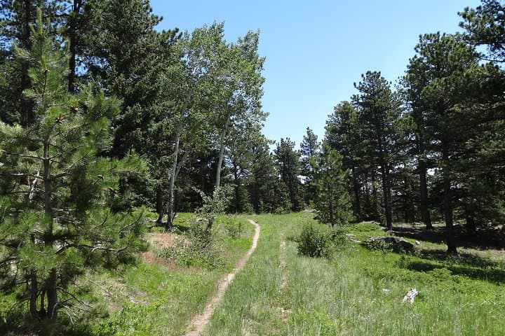 Half-Day Guided Hike in the Rocky Mountains from Denver photo 4