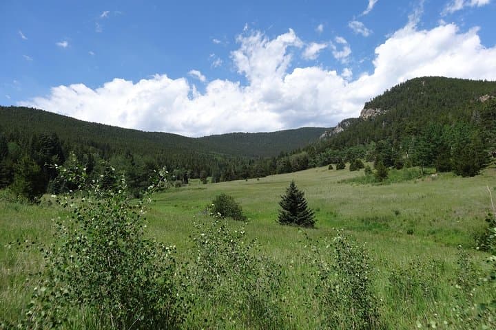 Half-Day Guided Hike in the Rocky Mountains from Denver photo 5