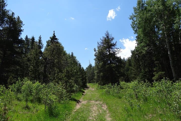 Half-Day Guided Hike in the Rocky Mountains from Denver photo 6
