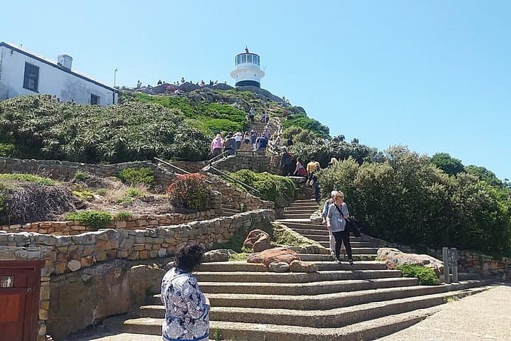Cape Point Private Day Tour: Penguins, Chapman's Peak & Cape of Good Hope photo 4