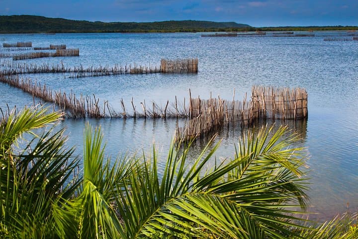 Kosi Bay Mouth Kayaking & Snorkeling: Fish Traps, Mangroves and a Traditional Braai