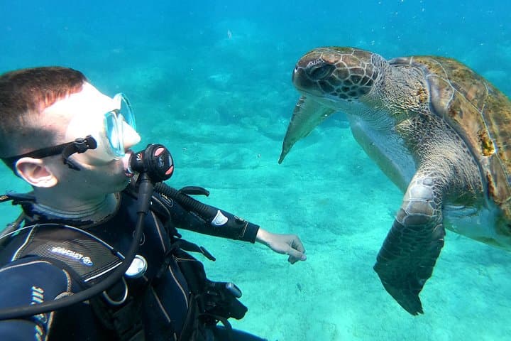 Discover Scuba Diving with Atlantic Turtles in Tenerife photo 3
