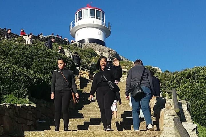 Cape Point Private Day Tour: Penguins, Chapman's Peak & Cape of Good Hope photo 3