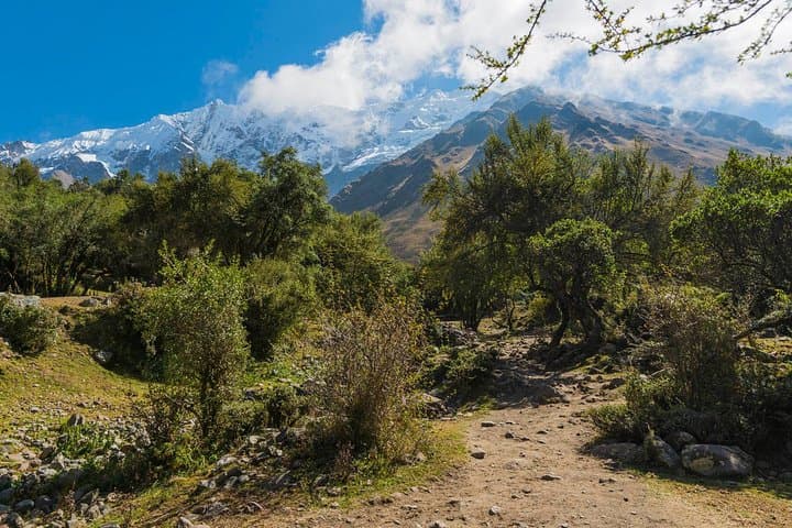 Salkantay to Machu Picchu: 5-Day Sacred Trek Through Andes and Cloud Forest