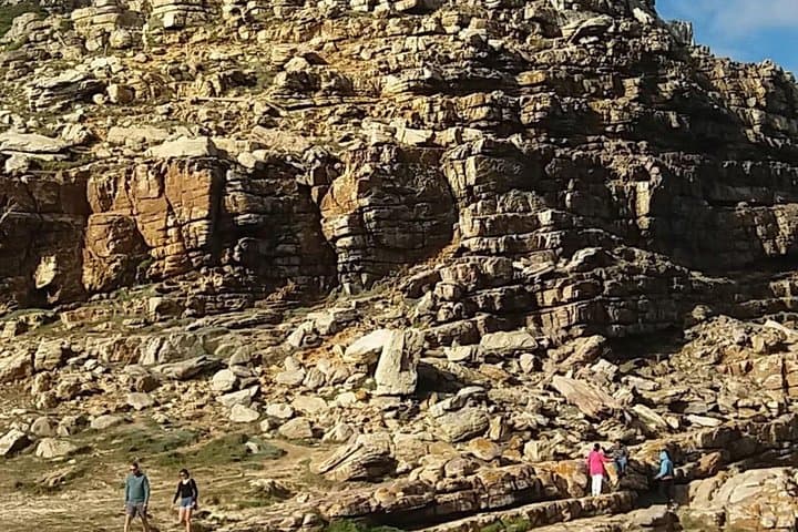 Cape Point Penguins, Chapman's Peak and Constantia Wine: Small-Group Day Tour from Cape Town photo 6