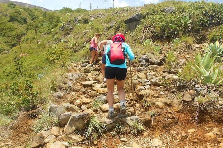 Hike Santa Ana Volcano (Ilamatepec): Crater Sulphur Lake and Coatepeque Lake Day Trip photo 3