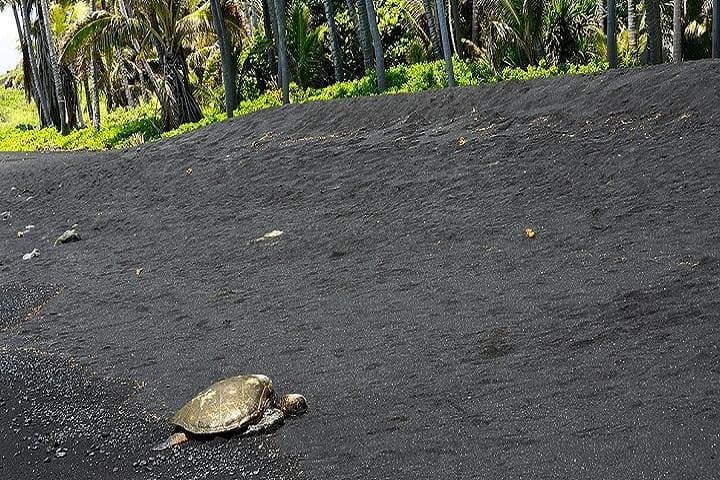 Big Island Volcanoes Day Trip — Hawaii Volcanoes National Park from Kona