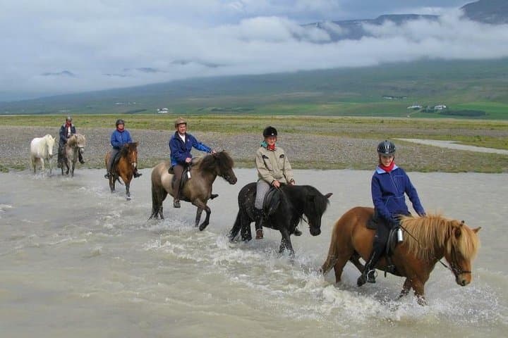 Skagafjordur Private 3-Hour Icelandic Horseback Riding Tour photo 4