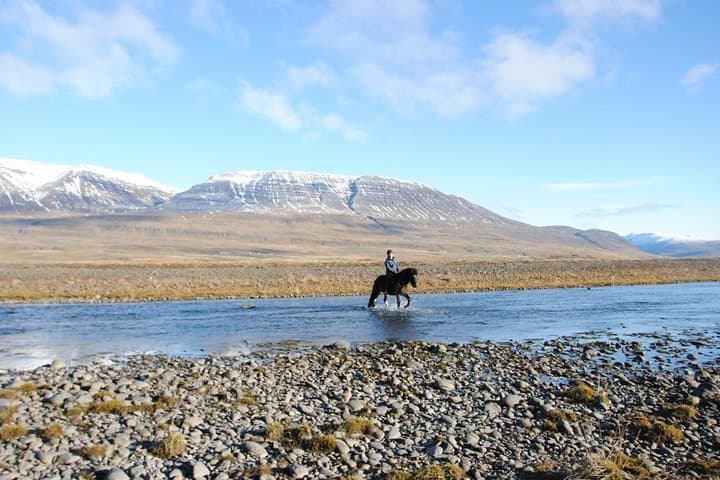 Skagafjordur Private 3-Hour Icelandic Horseback Riding Tour photo 5