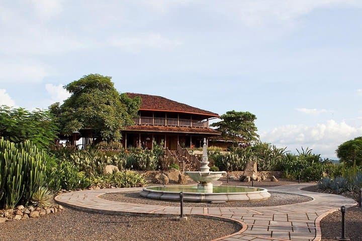 Palo Verde Jungle Tour: Tempisque River Wildlife Cruise & Cultural Trapiche Visit