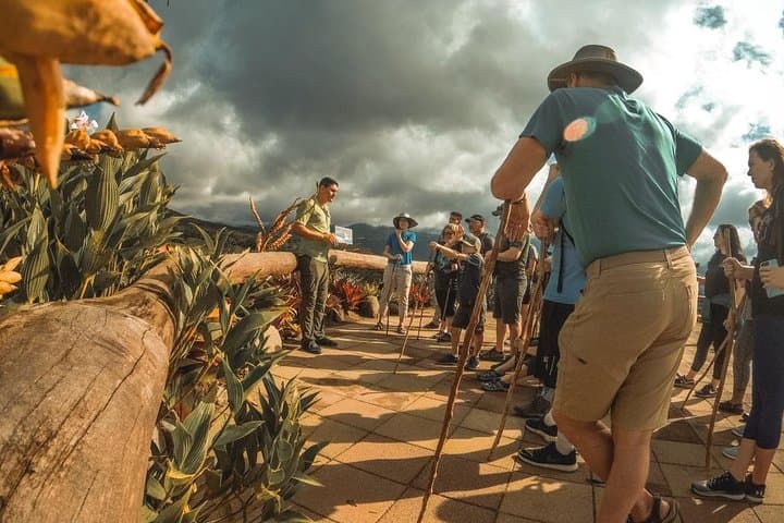Arenal Volcano Lava Trails: Private Guided Hike Through Basaltic Flows photo 4