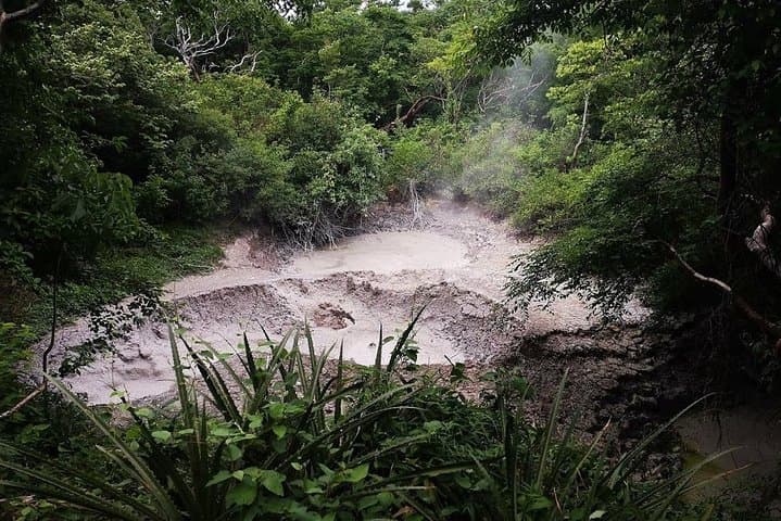 Hike Rincón de la Vieja: Las Pailas Loop, La Oropendola Waterfall & Hot Springs (Private Tour) photo 3