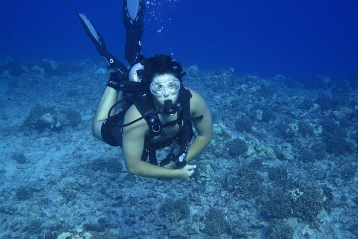 Introductory Beach Scuba Dive in Hilo — Try Scuba Without Certification photo 5