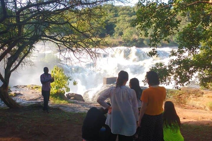 3-day-murchison-falls-safari-ziwa-rhino-tracking photo 2