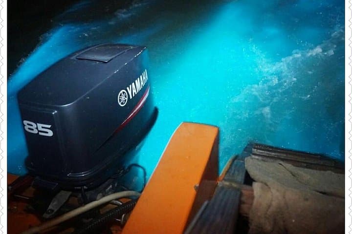 Luminous Lagoon Night Boat Tour — Glistening Waters Near Montego Bay photo 2