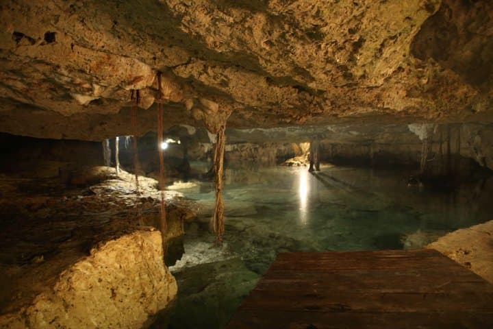 Half-Day Cenotes Expedition: Swim Yum Ha & Sol y Luna near Tulum photo 6