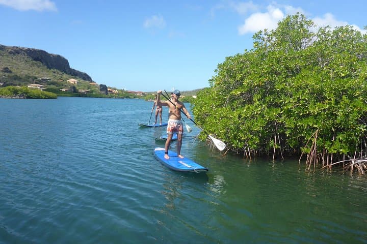 SUP Mangrove Eco Tour in Spanish Water, Curaçao — Beginner Paddleboarding photo 3