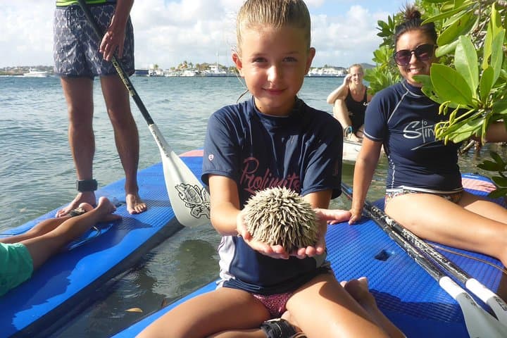 SUP Mangrove Eco Tour in Spanish Water, Curaçao — Beginner Paddleboarding photo 4