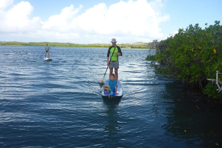 SUP Mangrove Eco Tour in Spanish Water, Curaçao — Beginner Paddleboarding photo 5