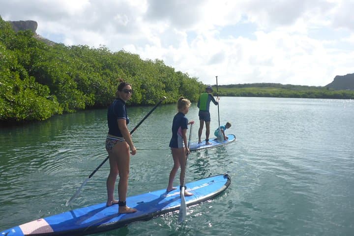 SUP Mangrove Eco Tour in Spanish Water, Curaçao — Beginner Paddleboarding photo 6