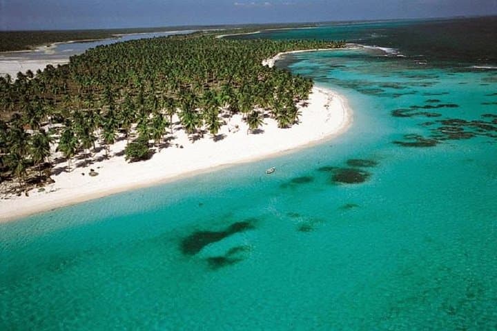 Saona VIP Speedboat to Playa Toro & Mano Juan — Full-Day Snorkel and Turtle Sanctuary photo 3