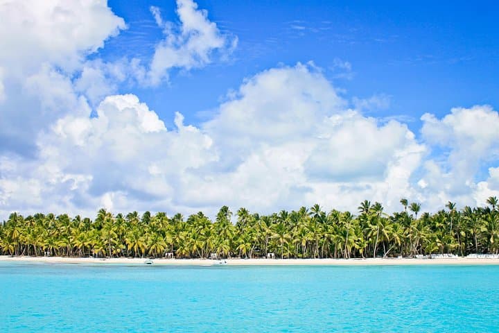 Saona Island Full-Day: Catamaran & Speedboat to the Natural Pool from Punta Cana