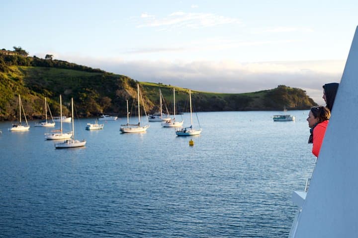 Waiheke Wine and Dine at Batch Winery — Full-Day Ferry, Tasting & Hop-On Bus photo 2