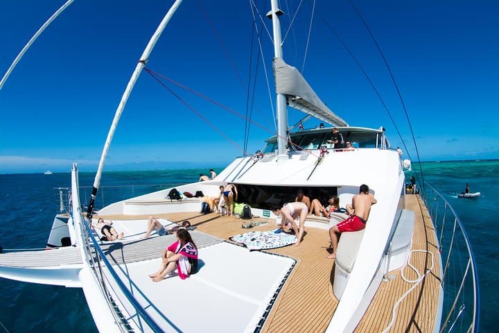 Passions of Paradise: Outer Great Barrier Reef Catamaran Day Trip from Cairns photo 4