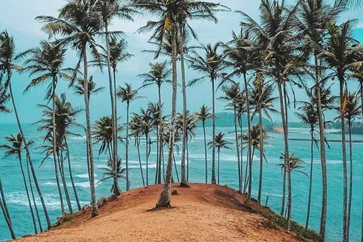 Sri Lanka 7-Day Classical Private Tour: Beaches, Hill Country & Yala Safari photo 2