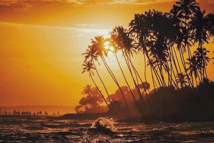Sri Lanka 7-Day Classical Private Tour: Beaches, Hill Country & Yala Safari photo 5