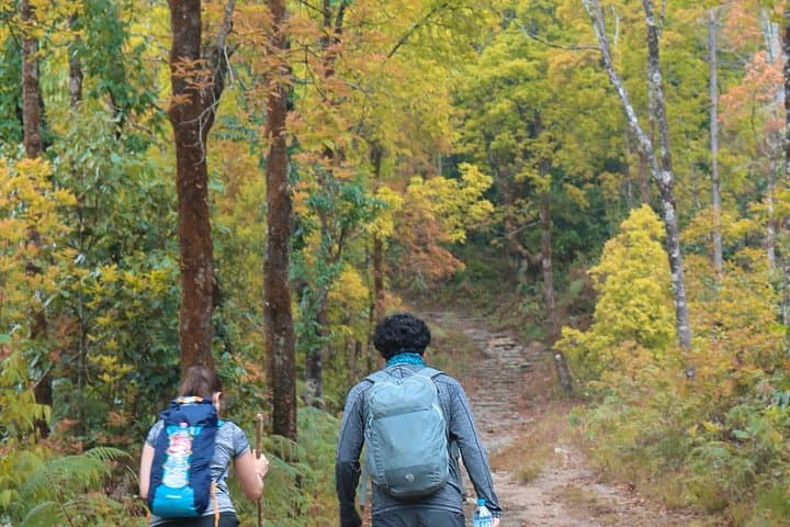 Dhampus Day Hike from Pokhara: Australian Camp to Dhampus Village photo 4