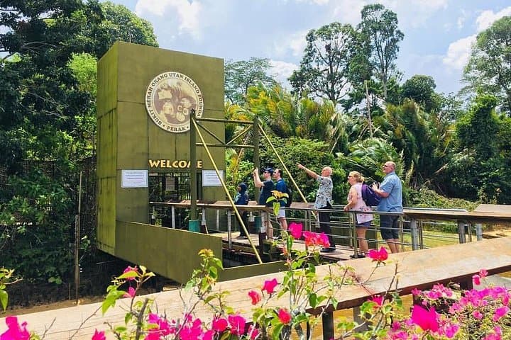 Orang Utan Island & Perak Tong Cave Day Tour from Kuala Lumpur — Private Wildlife & Cultural Excursion