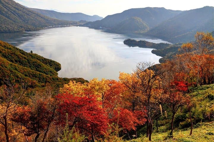 One-Day Nikko Private Tour: Toshogu Shrine, Shinkyo Bridge, Lake Chūzenji & Kegon Falls