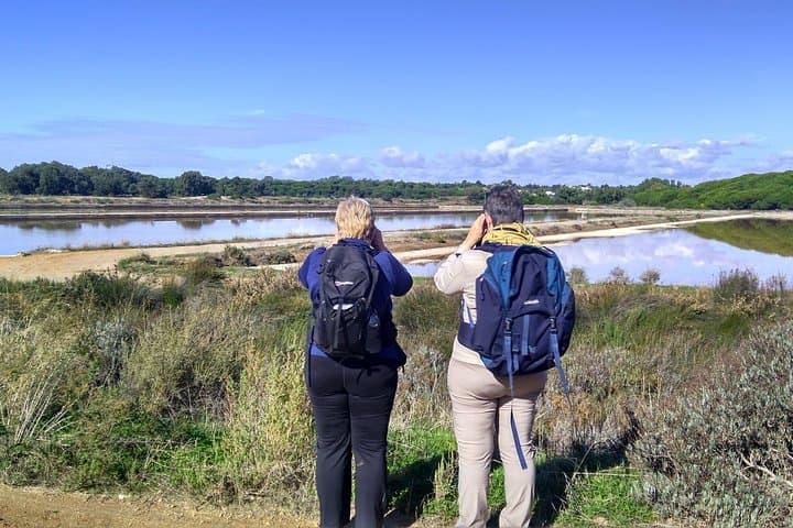 Self-Guided Birding in Monte Gordo — 5-Day Algarve Blue-Sky Itinerary