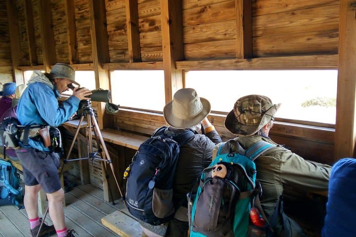 Self-Guided Birding in Monte Gordo — 5-Day Algarve Blue-Sky Itinerary photo 2
