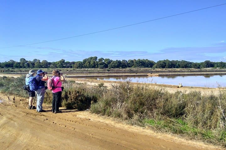 Self-Guided Birding in Monte Gordo — 5-Day Algarve Blue-Sky Itinerary photo 3