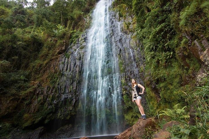 Materuni Waterfall Hike and Chagga Coffee Tour — Moshi Day Trip