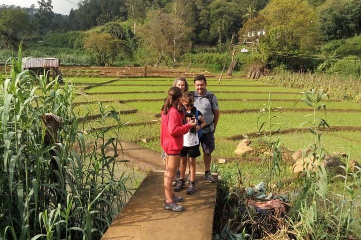 Ella Three Icons Tour: Hike Ella Rock, Little Adam’s Peak & Nine Arches Bridge in One Day photo 4