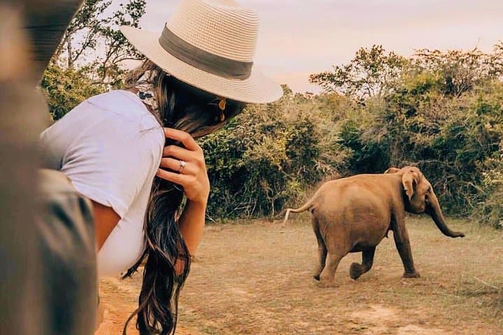 Private Udawalawe Safari: Elephant Encounters and Off-Road Jeep Tours photo 2