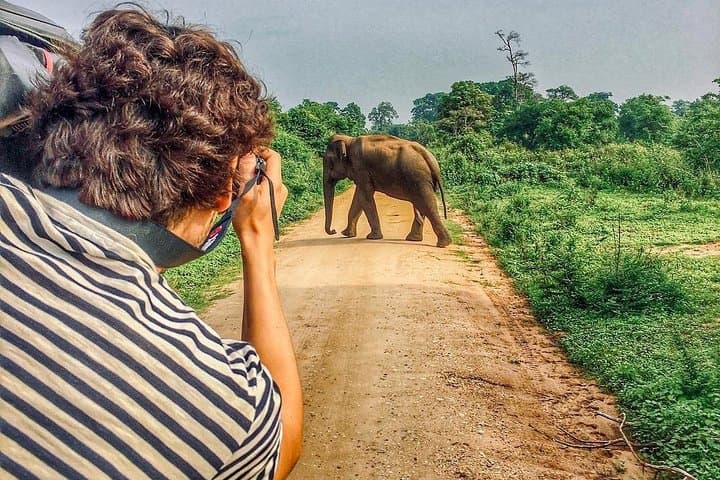 7-Day Sri Lanka Cultural & Wildlife Tour: Sigiriya to Mirissa
