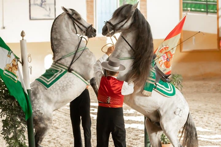 Ritmo a Caballo — Horse and Flamenco Show in Málaga photo 3