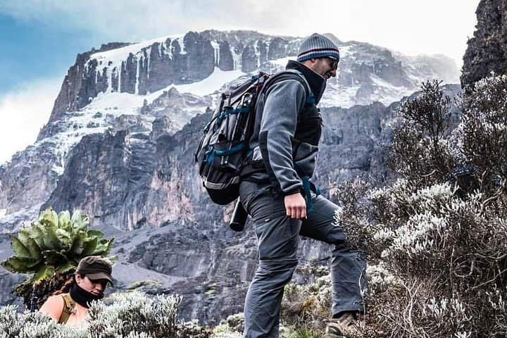 Seven Days on Kilimanjaro’s Machame Route: A Practical Guide to Reaching Uhuru Peak photo 4