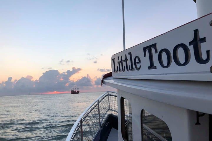 Little Toot Dolphin Adventure: Clearwater Beach Dolphin Watching & Harbor Cruise photo 5