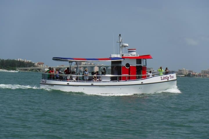 Little Toot Dolphin Adventure: Clearwater Beach Dolphin Watching & Harbor Cruise photo 3