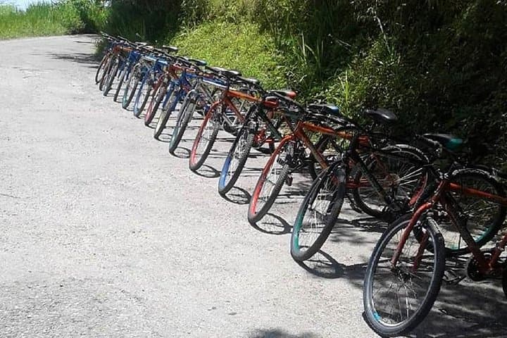 Blue Mountain Bicycle Tour from Port Antonio — Downhill Rainforest Ride & Coffee Country photo 2
