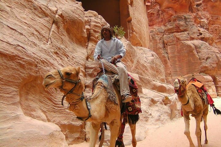 Petra in a Day: Sharm-el-Sheikh to Petra via Taba Ferry and Wadi Rum photo 4