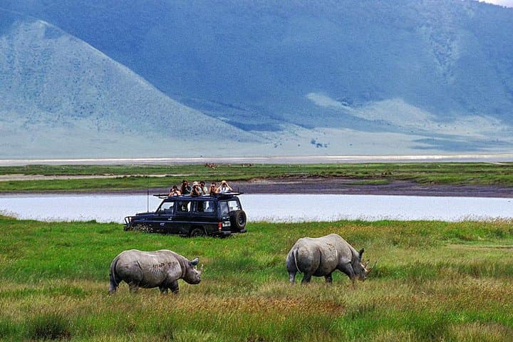 Two-Day Private Serengeti Safari: Big Five Game Drives & Lodge Stay photo 6