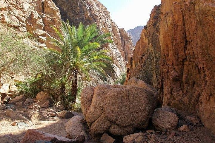 Dahab Safari: Snorkel the Three Pools & Ride Camels from Sharm el-Sheikh photo 4